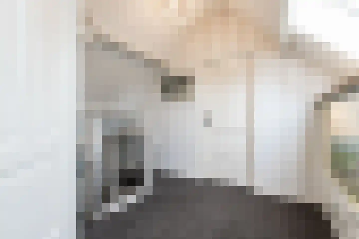 Schoolstraat 1 Rossum thumbnail 25