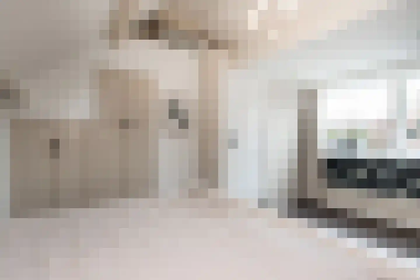 Schoolstraat 1 Rossum thumbnail 35