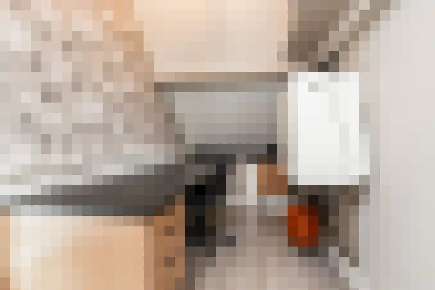Schoolstraat 1 Rossum thumbnail 36