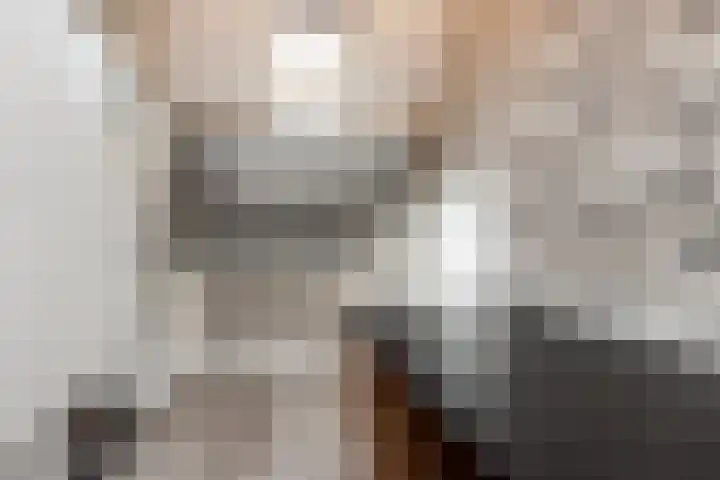 Schoolstraat 1 Rossum thumbnail 39