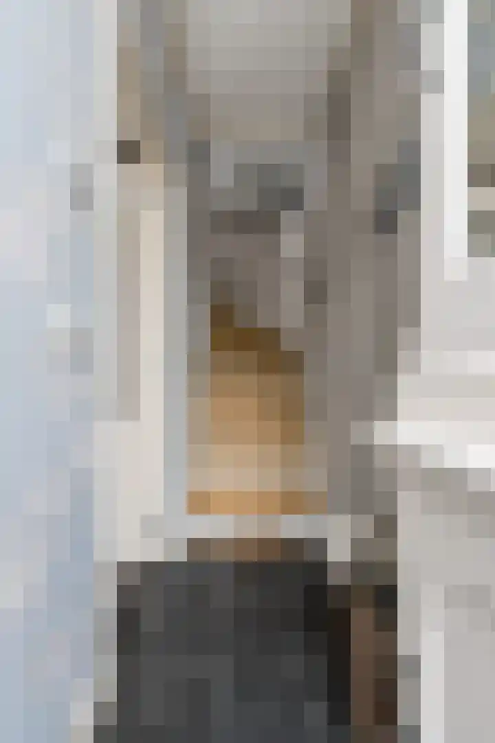 Schoolstraat 1 Rossum thumbnail 8