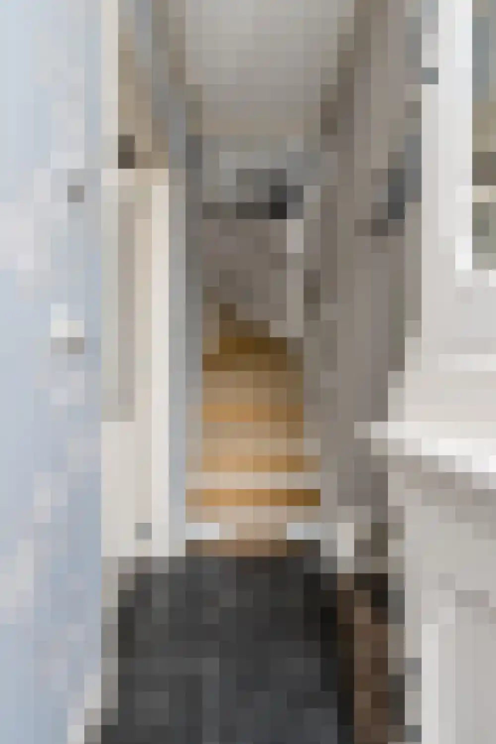 Schoolstraat 1 Rossum thumbnail 8