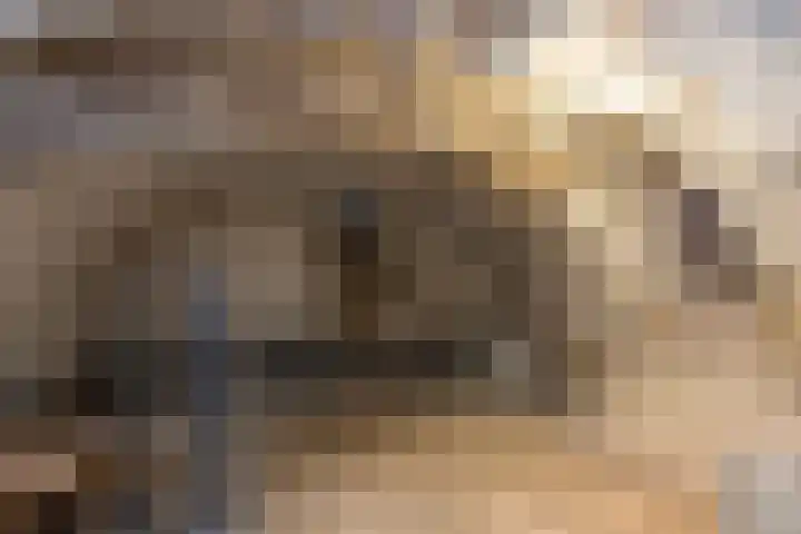 Schoolstraat 1 Sint Geertruid thumbnail 36