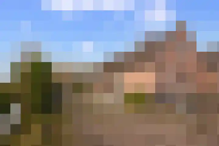 Schoolstraat 1 Sprang-Capelle thumbnail 18