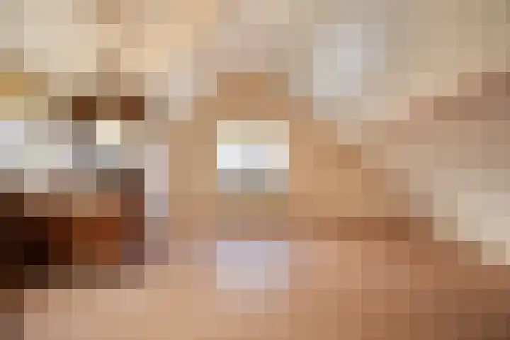 Schoolstraat 1 Sprang-Capelle thumbnail 31