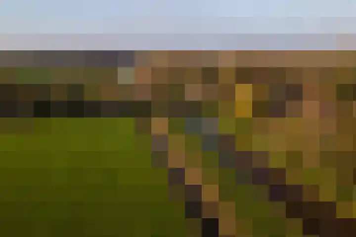 Schoolstraat 1 Sprang-Capelle thumbnail 34