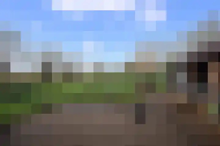 Schoolstraat 1 Sprang-Capelle thumbnail 39