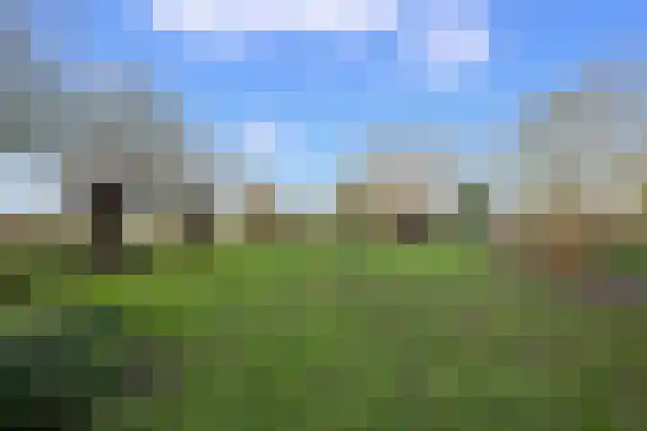 Schoolstraat 1 Sprang-Capelle thumbnail 41