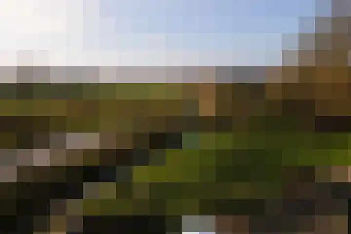 Schoolstraat 1 Sprang-Capelle thumbnail 43