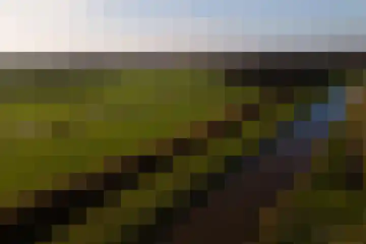 Schoolstraat 1 Sprang-Capelle thumbnail 44