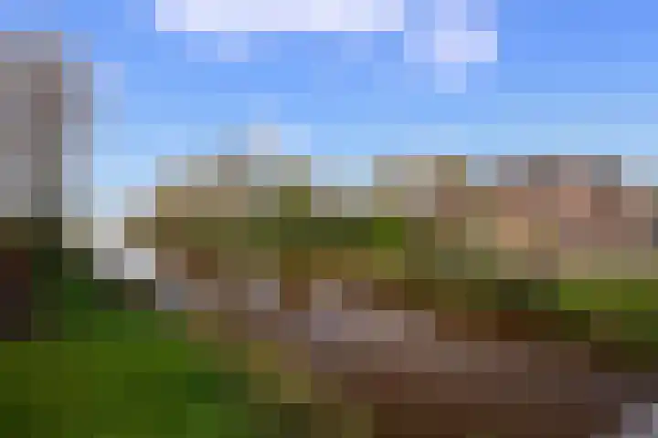Schoolstraat 1 Sprang-Capelle thumbnail 47