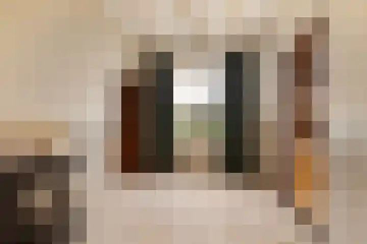 Schoolstraat 1 Sprang-Capelle thumbnail 9