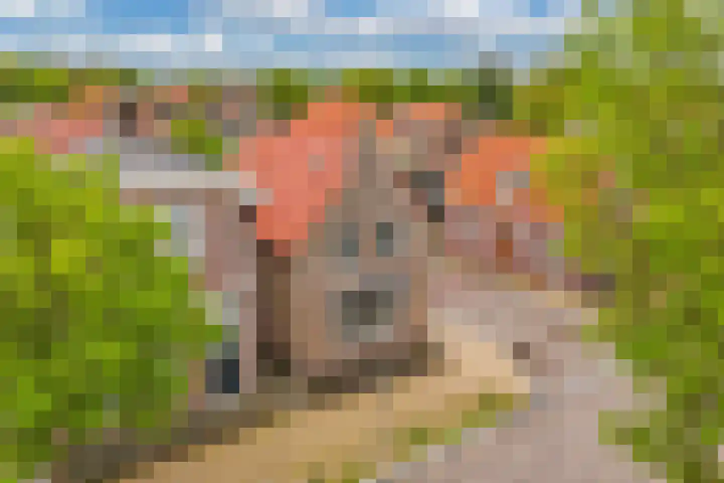 Schoolstraat 1 Workum thumbnail 10