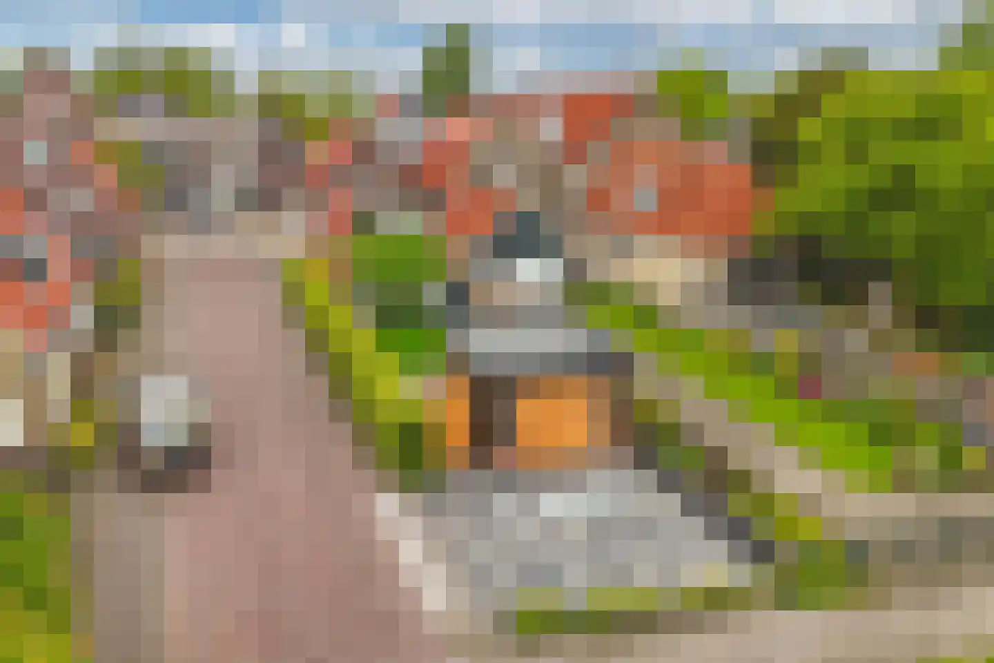 Schoolstraat 1 Workum thumbnail 56