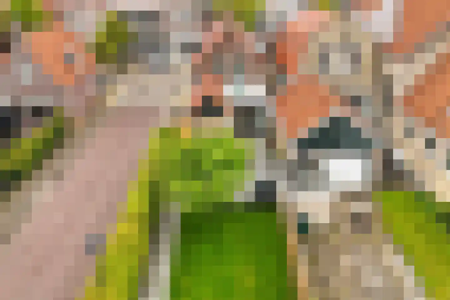 Schoolstraat 1 Workum thumbnail 57