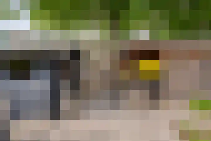 Schoolstraat 10 Barchem thumbnail 10