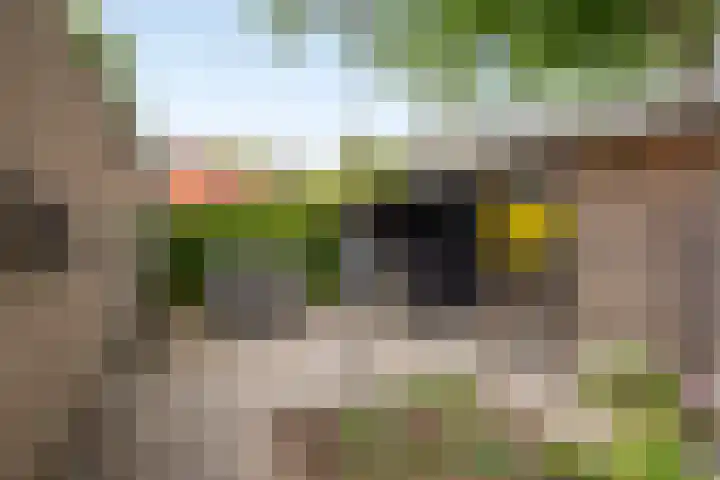 Schoolstraat 10 Barchem thumbnail 11