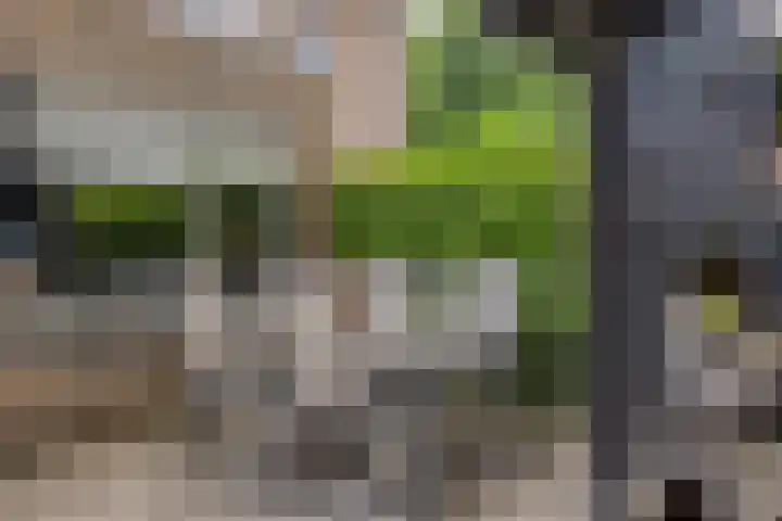 Schoolstraat 10 Barchem thumbnail 12