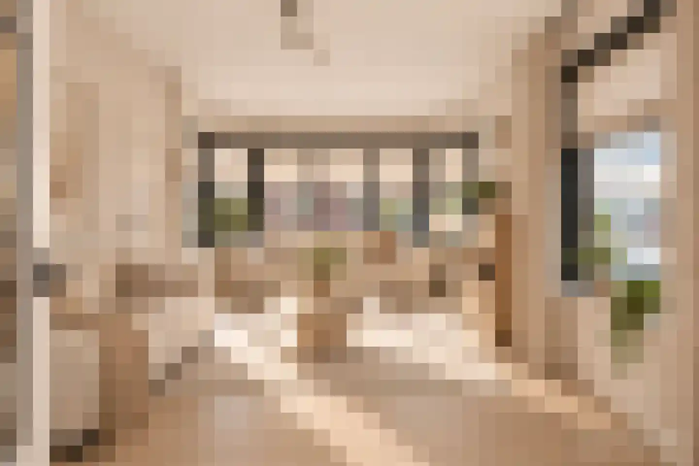 Schoolstraat 10 Callantsoog thumbnail 7
