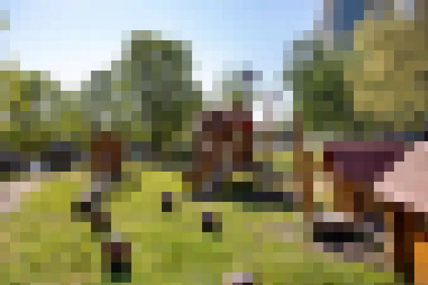 Schoolstraat 10 F Bathmen thumbnail 8