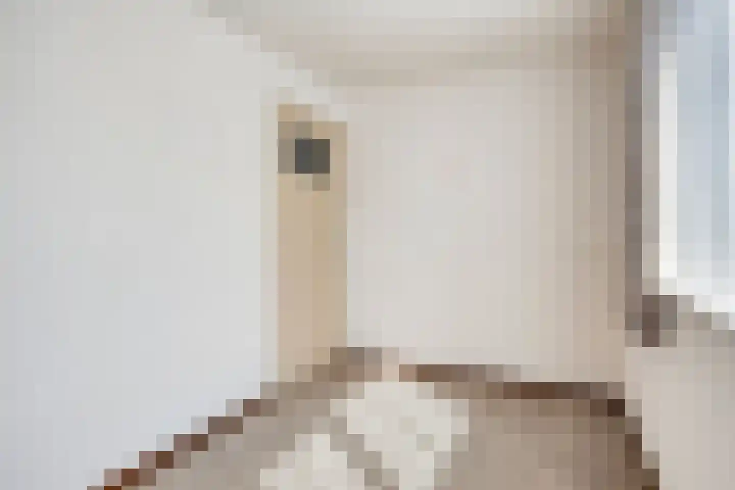 Schoolstraat 10 Herpen thumbnail 14