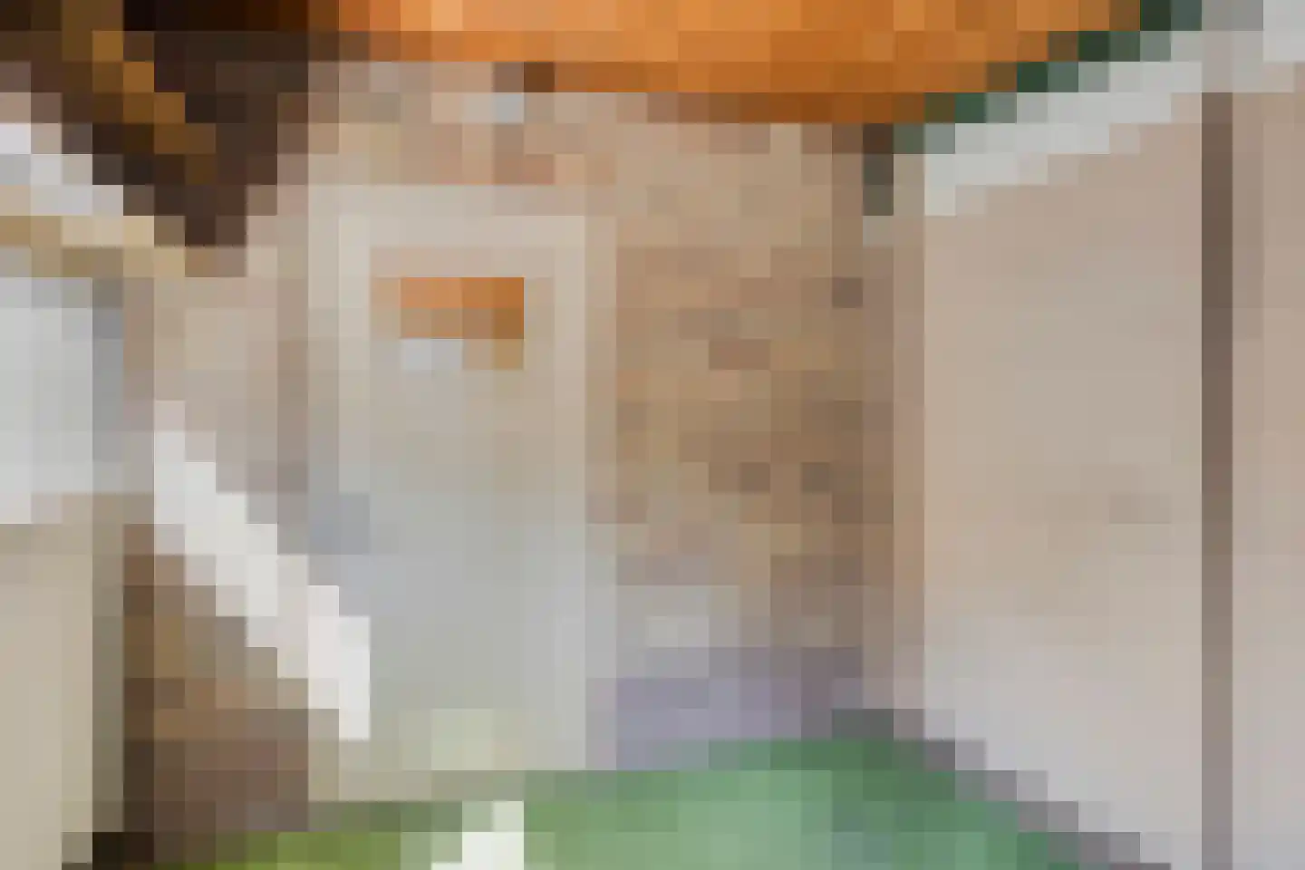 Schoolstraat 10 Herpen thumbnail 24