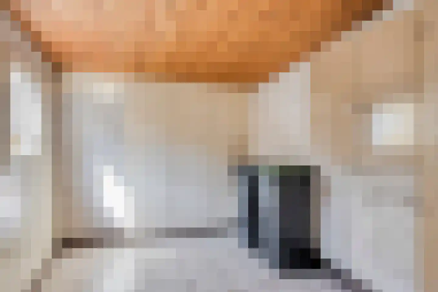 Schoolstraat 10 Herpen thumbnail 26