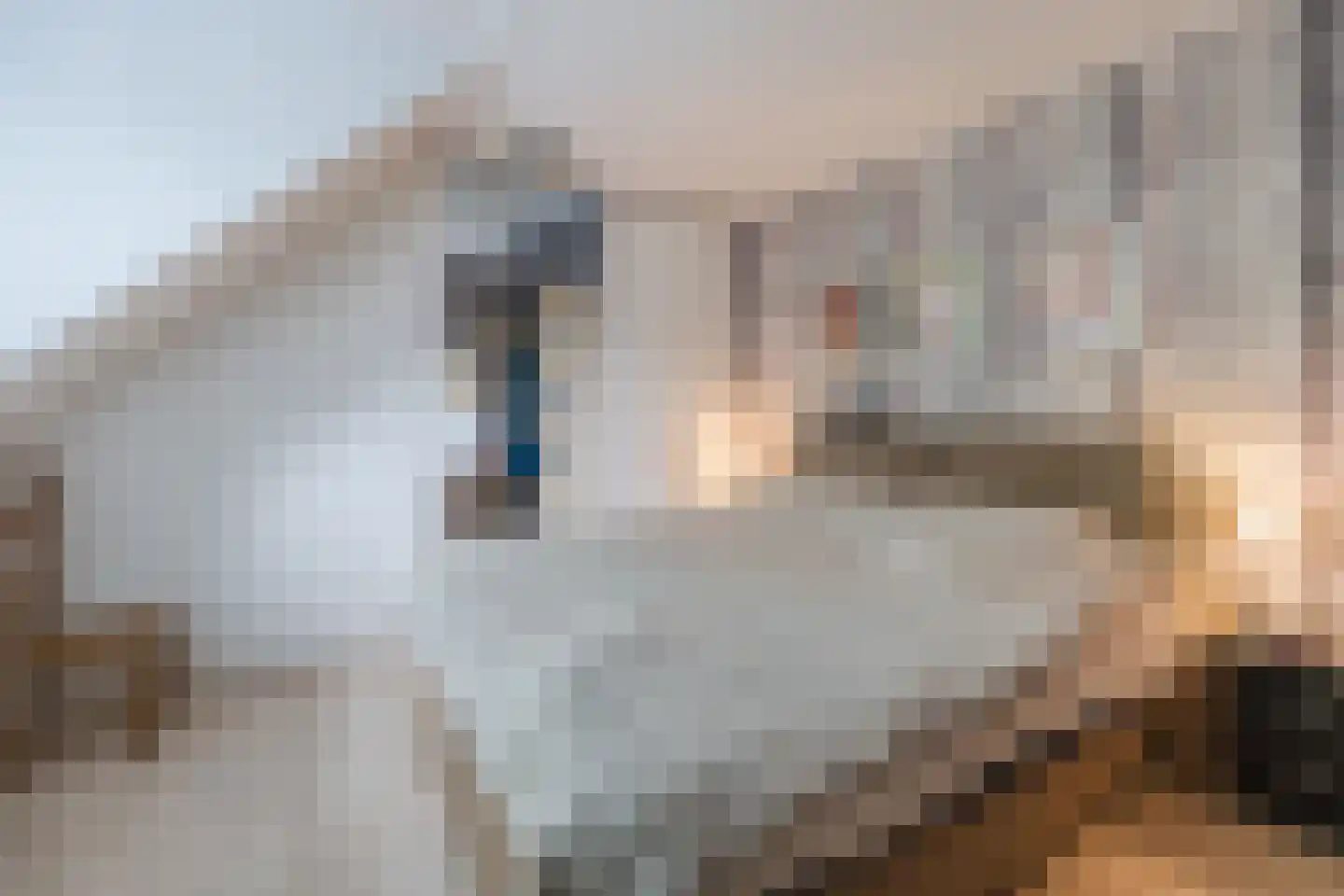 Schoolstraat 10 Holsloot thumbnail 12