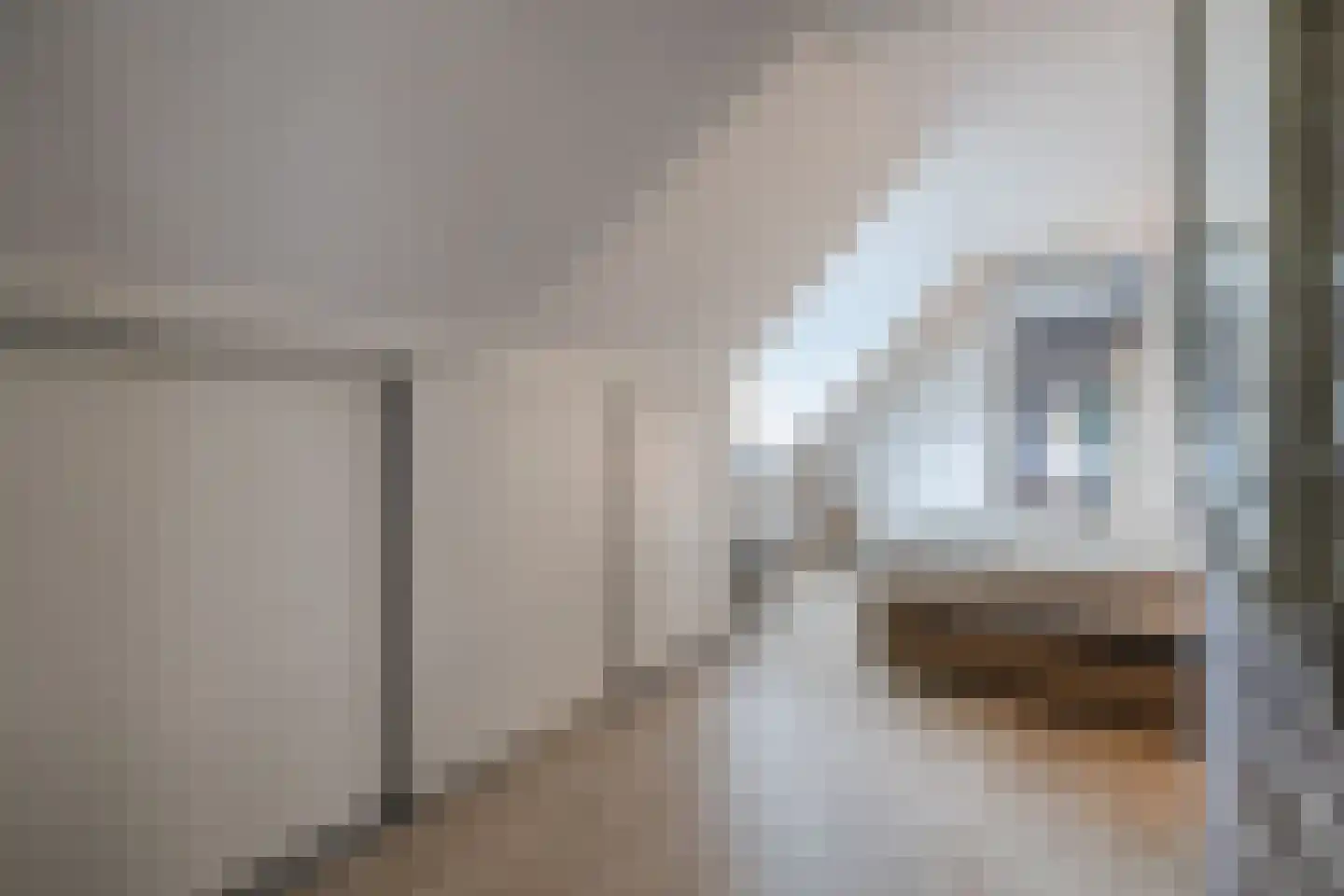 Schoolstraat 10 Holsloot thumbnail 14