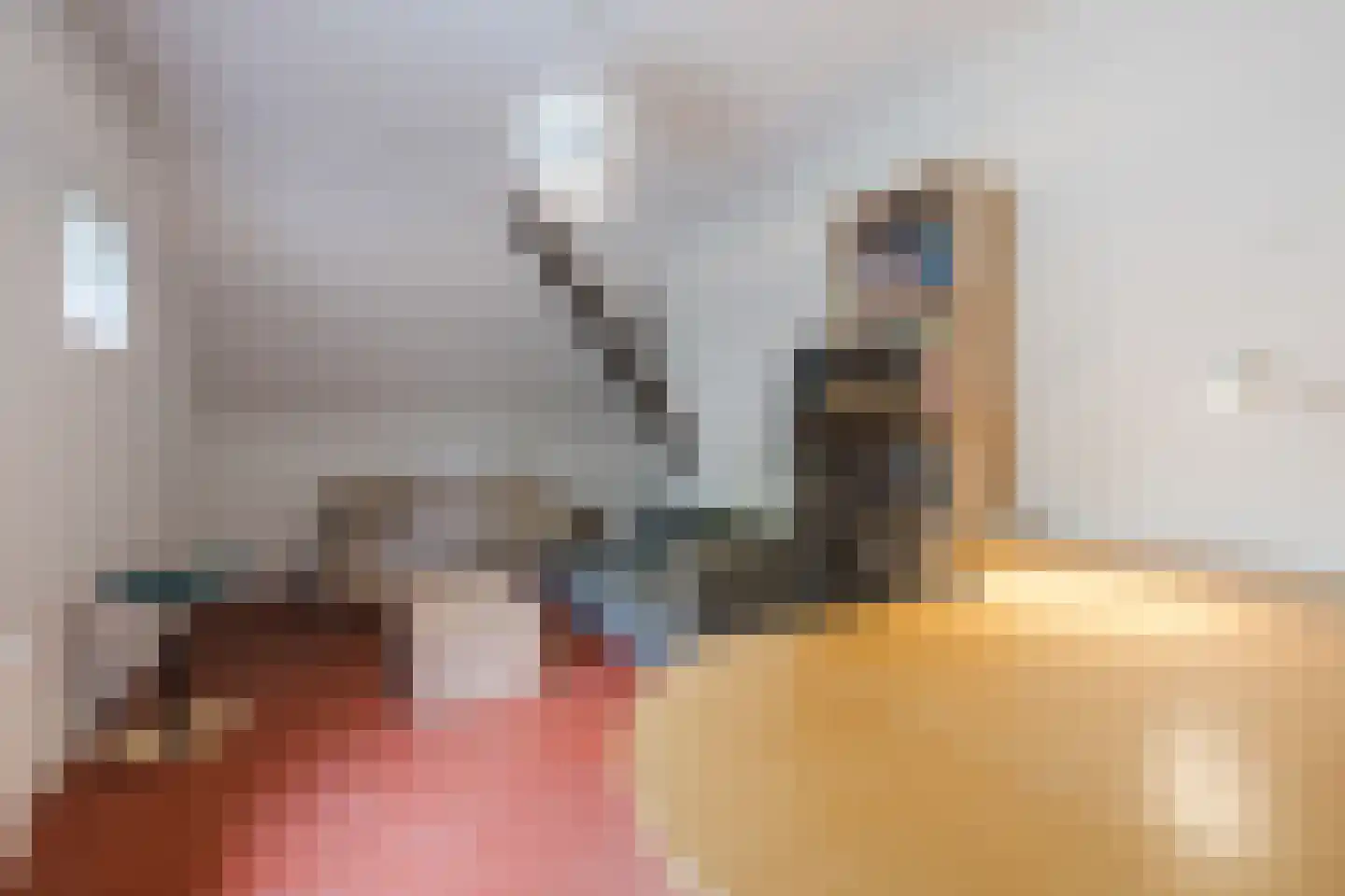 Schoolstraat 10 Holsloot thumbnail 25