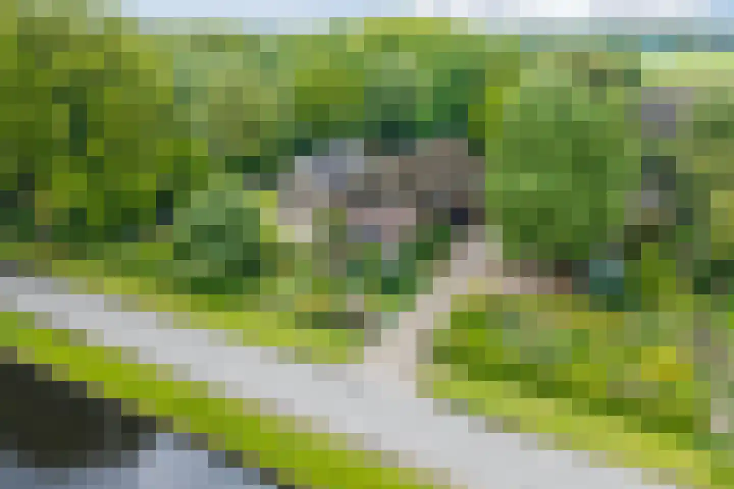 Schoolstraat 10 Holsloot thumbnail 27