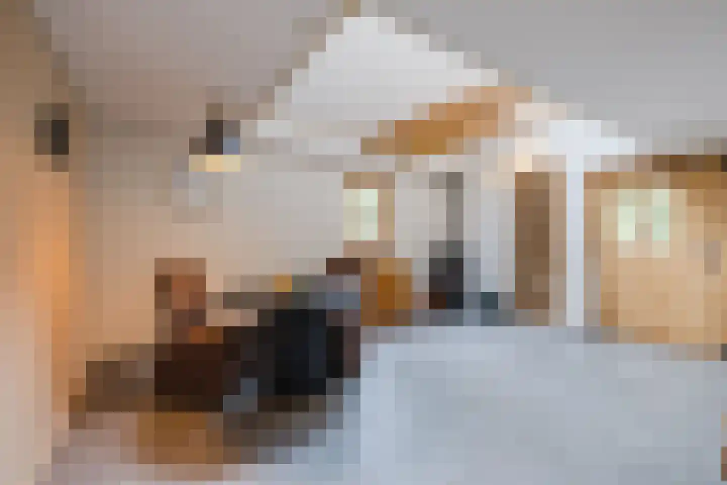 Schoolstraat 10 Holsloot thumbnail 34