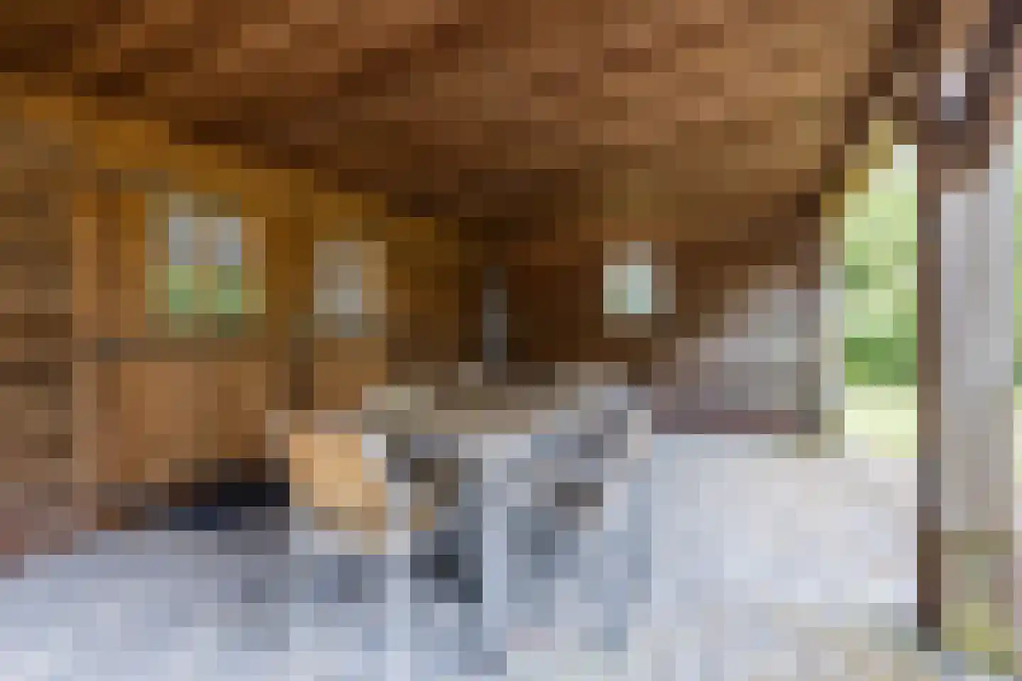 Schoolstraat 10 Holsloot thumbnail 40