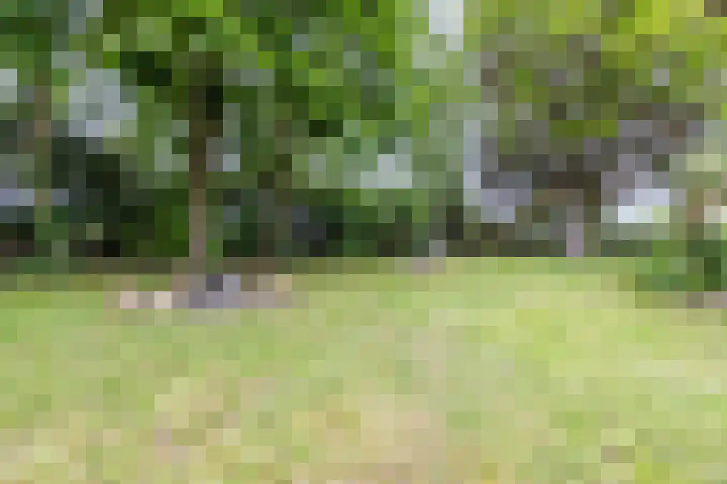 Schoolstraat 10 Holsloot thumbnail 41
