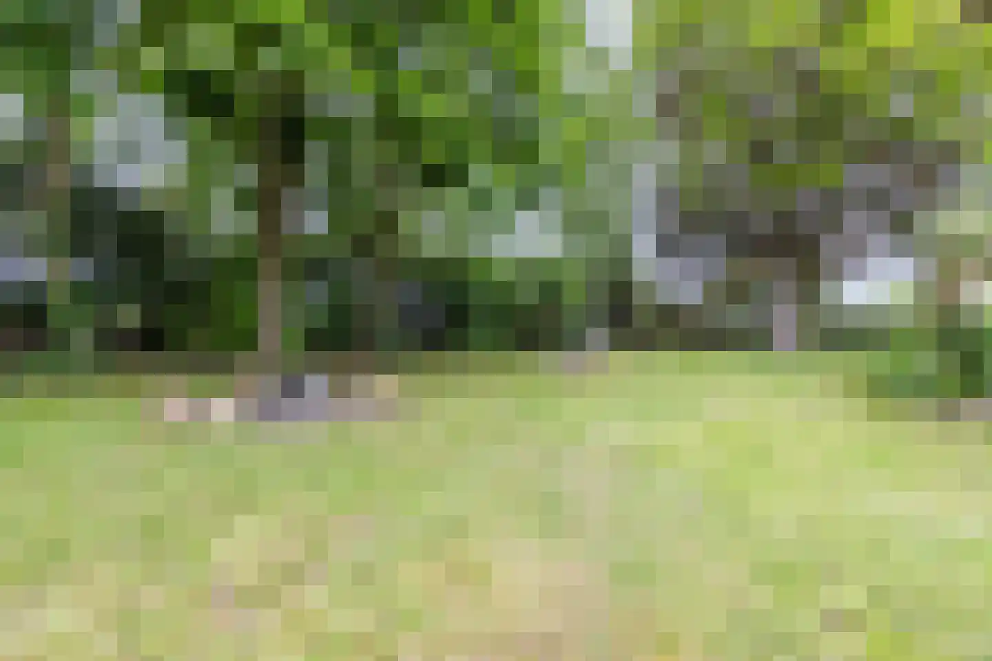 Schoolstraat 10 Holsloot thumbnail 41