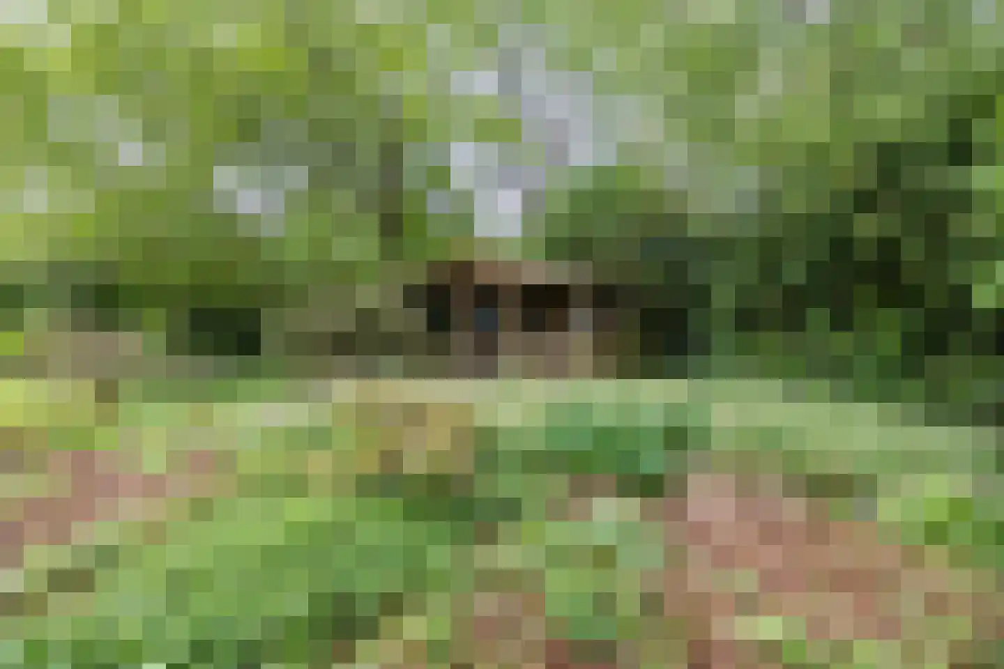 Schoolstraat 10 Holsloot thumbnail 42