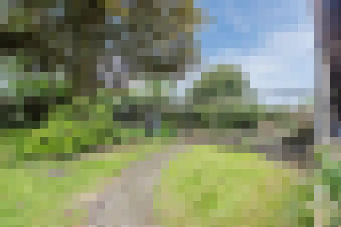 Schoolstraat 10 Holsloot thumbnail 45