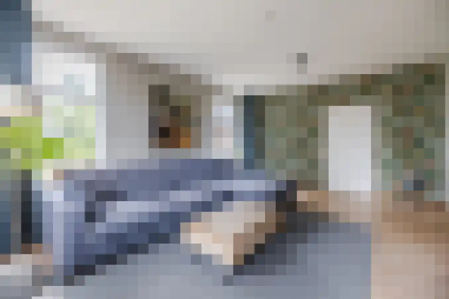Schoolstraat 10 Holsloot thumbnail 5