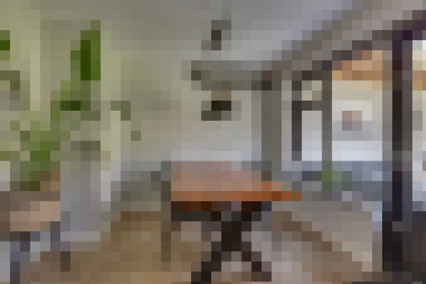 Schoolstraat 10 Holten thumbnail 10