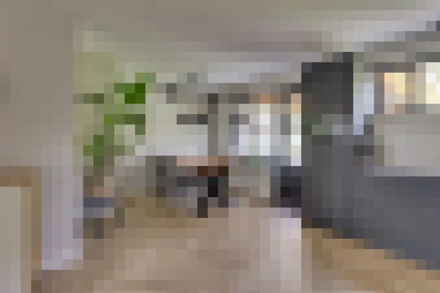 Schoolstraat 10 Holten thumbnail 9