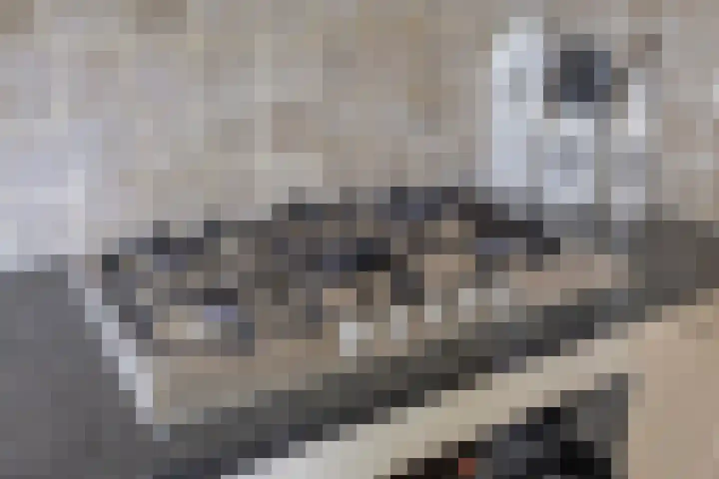 Schoolstraat 10 Oisterwijk thumbnail 17