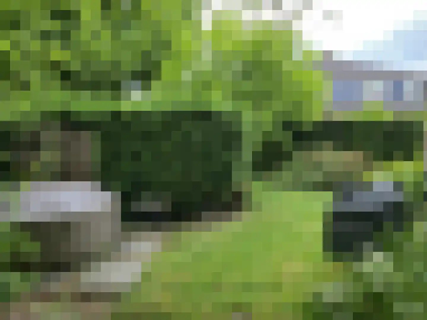 Schoolstraat 10 Oosterbeek thumbnail 28