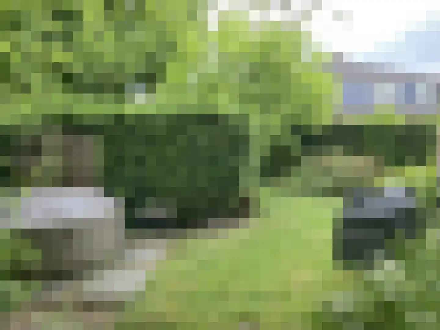 Schoolstraat 10 Oosterbeek thumbnail 58