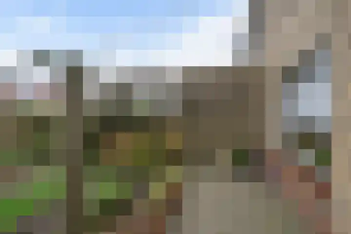 Schoolstraat 10 Stavenisse thumbnail 26