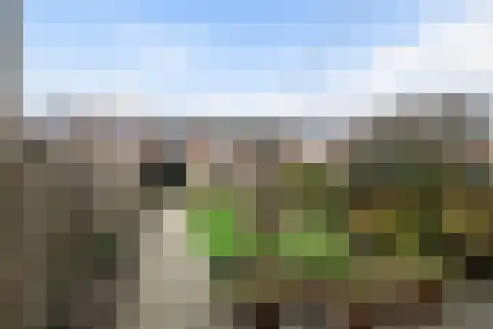 Schoolstraat 10 Stavenisse thumbnail 5