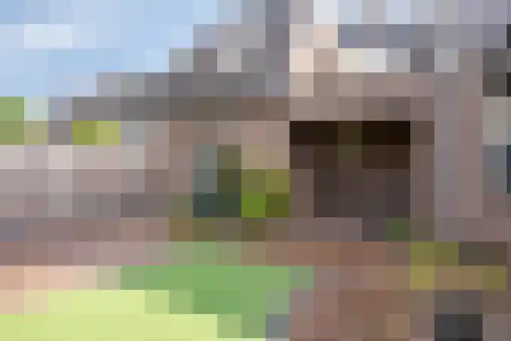 Schoolstraat 10 Zeeland thumbnail 40