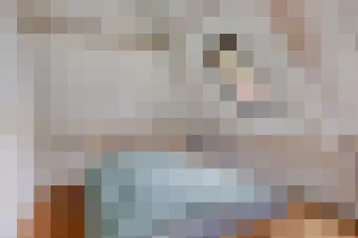 Schoolstraat 11 a Hooge Mierde thumbnail 35