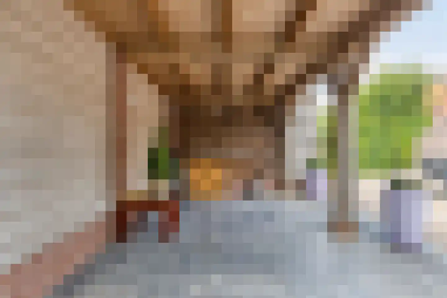 Schoolstraat 11 a Langeweg thumbnail 33