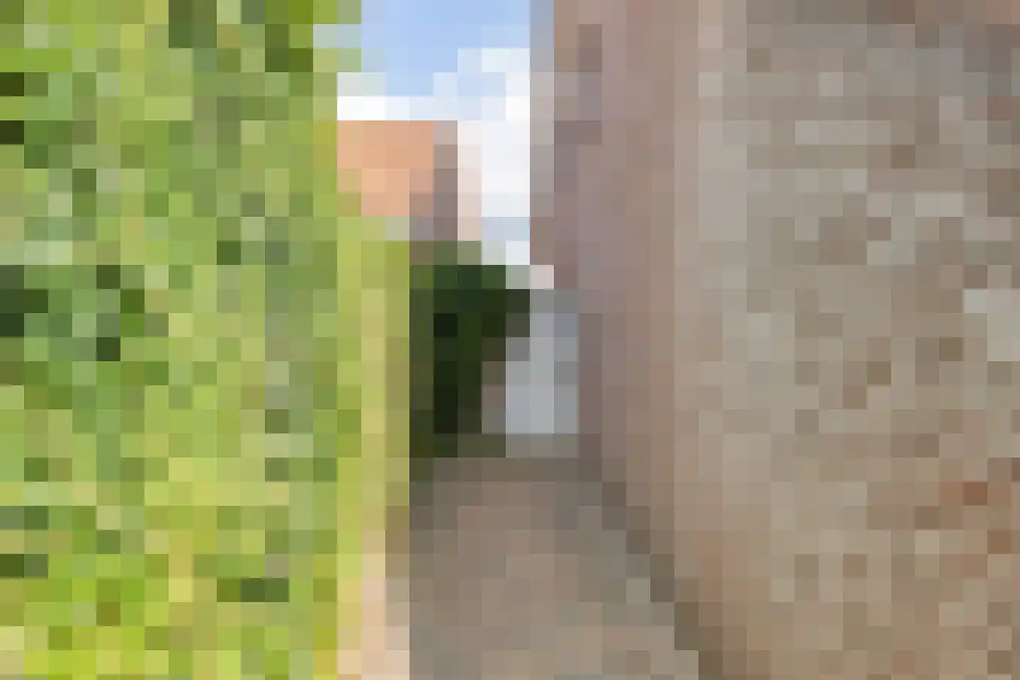 Schoolstraat 11 a Langeweg thumbnail 36