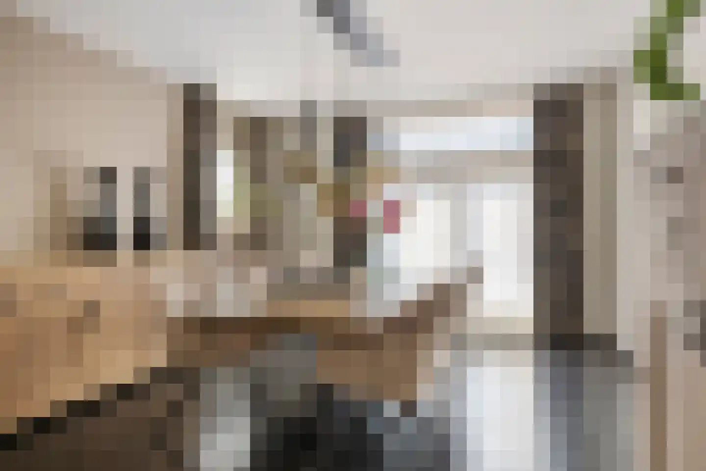 Schoolstraat 11 a Langeweg thumbnail 9